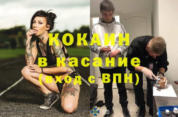 тгк Алзамай