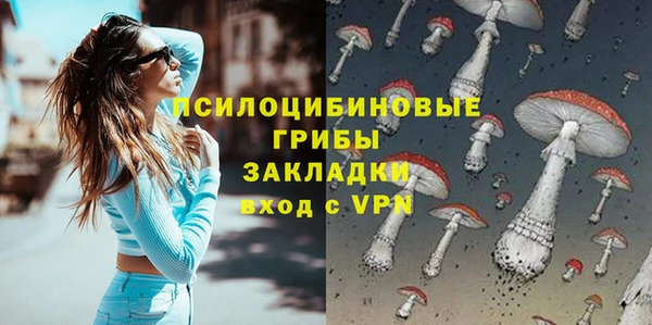 дурь Алексин
