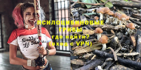 тгк Алзамай