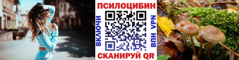 Псилоцибиновые грибы Cubensis  ОМГ ОМГ ТОР  Цивильск 